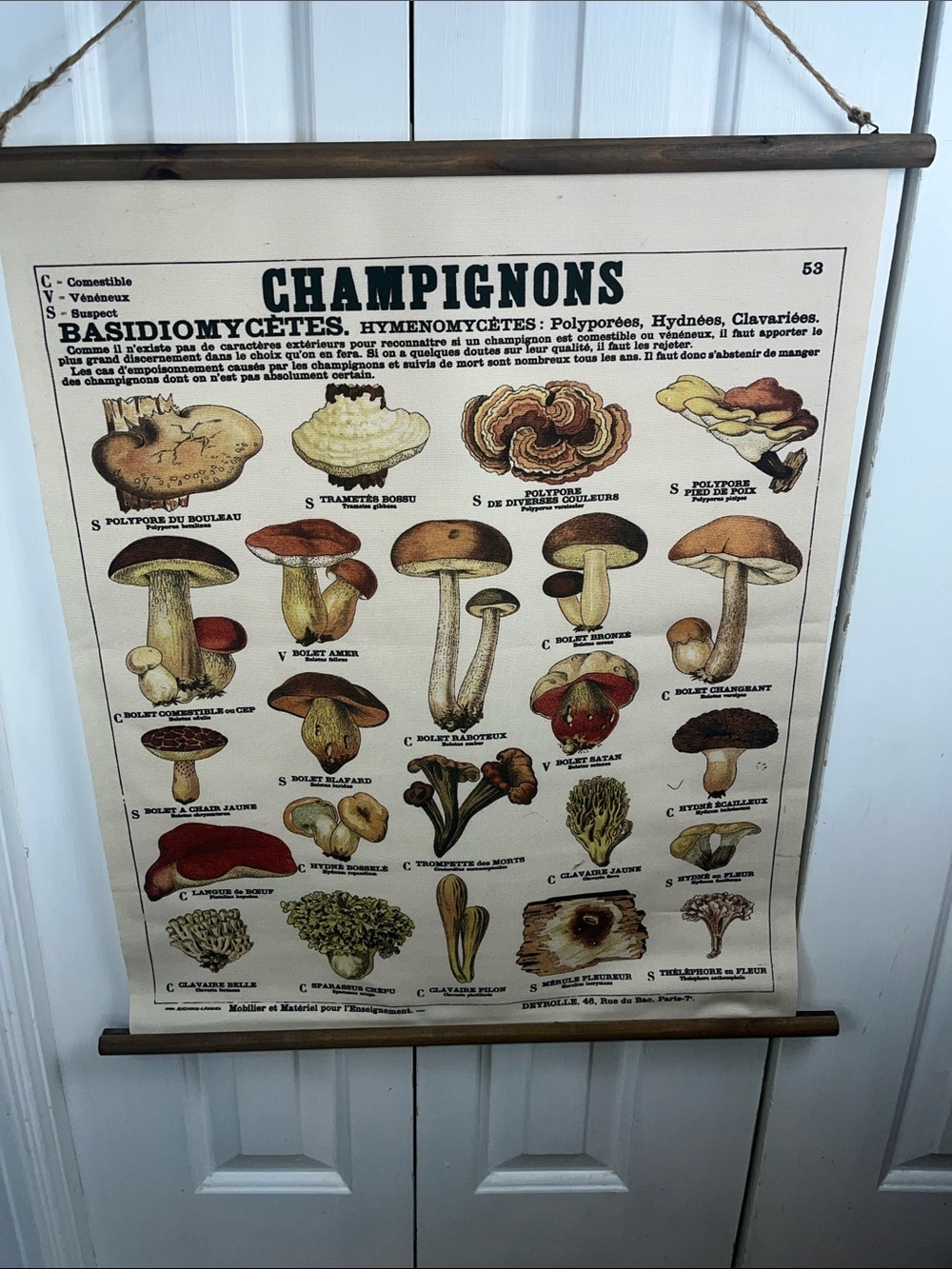 21” x 24” World Market mushroom tapestry cottagecore wood forest art